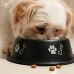 Pawprint Bowl