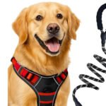 dog harness