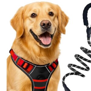 dog harness