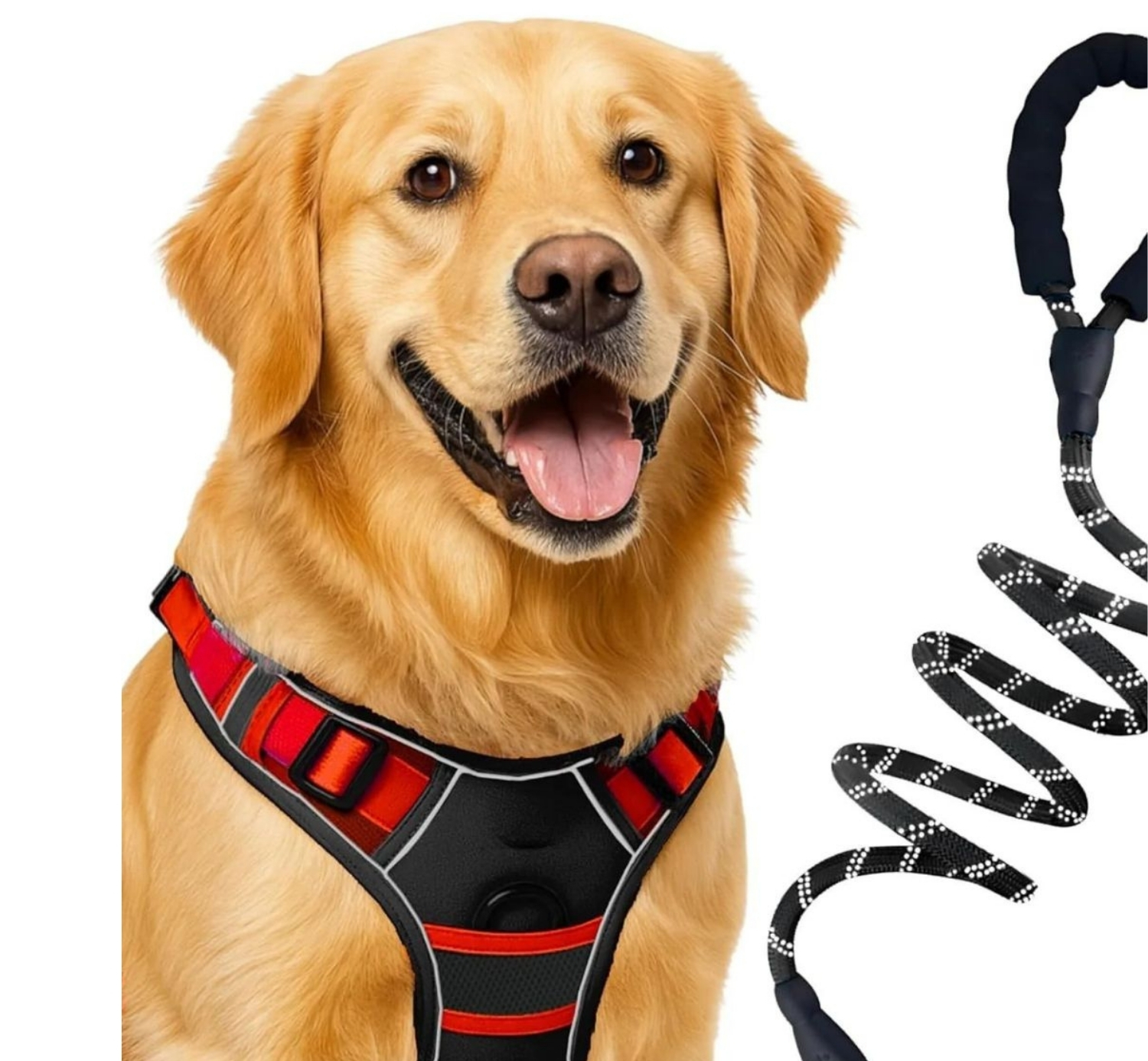 Customised - No-Pull Dog Harness & Leash Set (Adjustable, Padded)