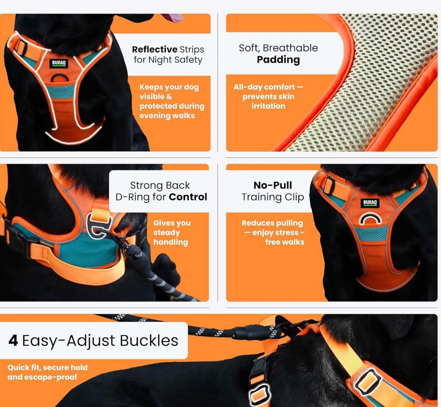 Customised - No-Pull Dog Harness & Leash Set (Adjustable, Padded)