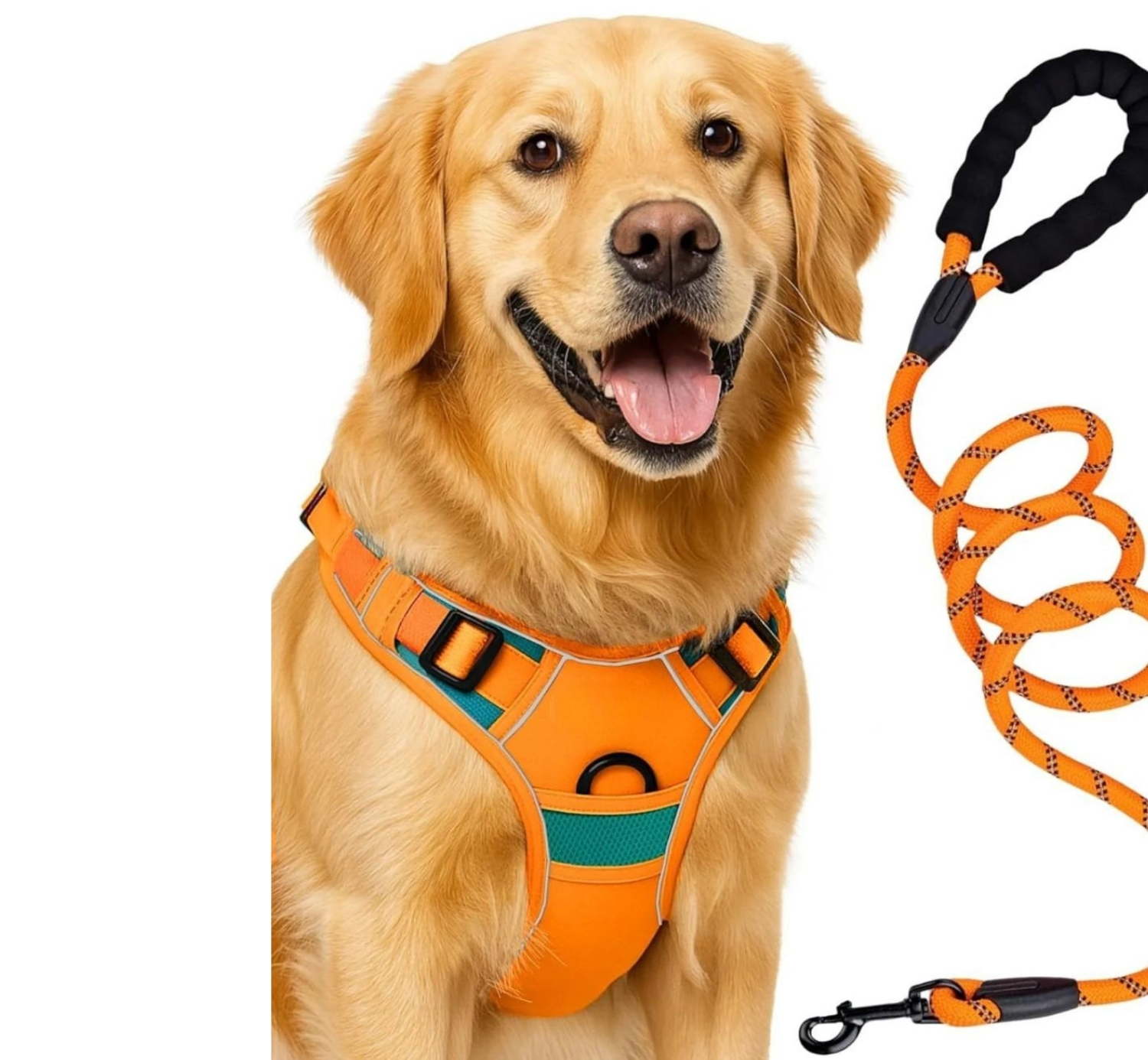 Customised - No-Pull Dog Harness & Leash Set (Adjustable, Padded)