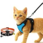 Cat Harness