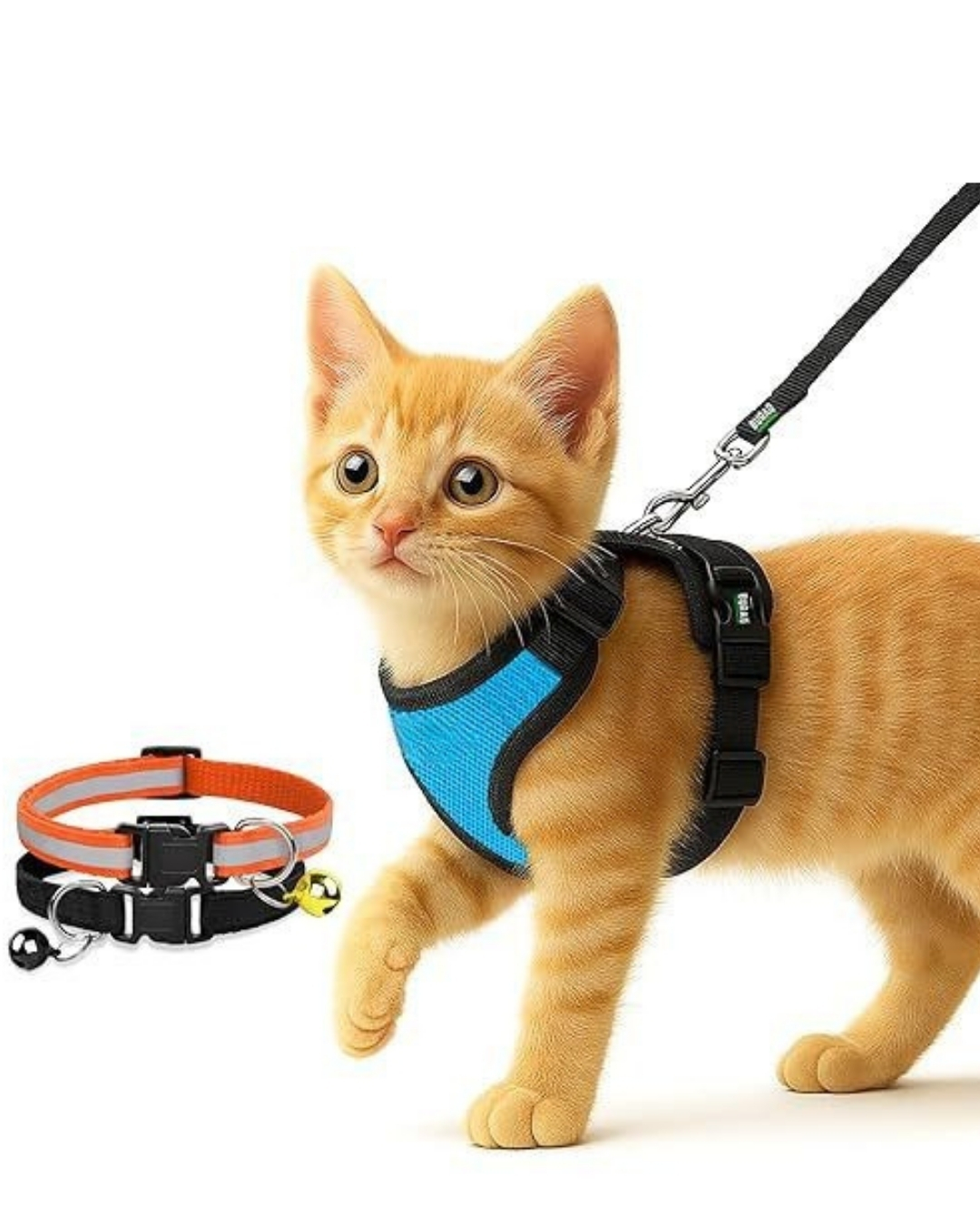 Customised - No-Pull Cat Harness & Leash Set