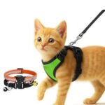 Cat harness