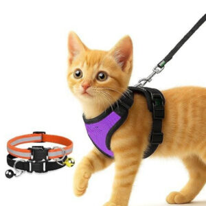 Customised – No-Pull Cat Harness & Leash Set