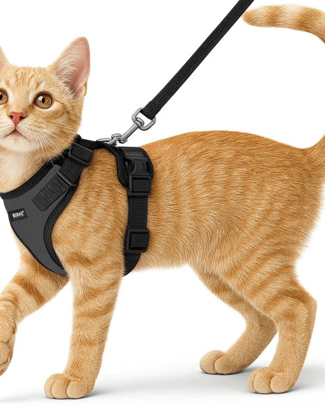 Customised - No-Pull Cat Harness & Leash Set
