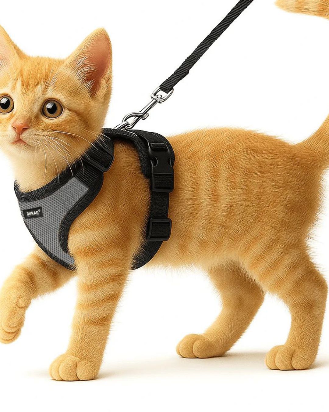 Customised - No-Pull Cat Harness & Leash Set