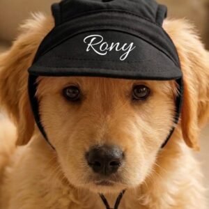 Customised – Paw Cap | Pet Cap