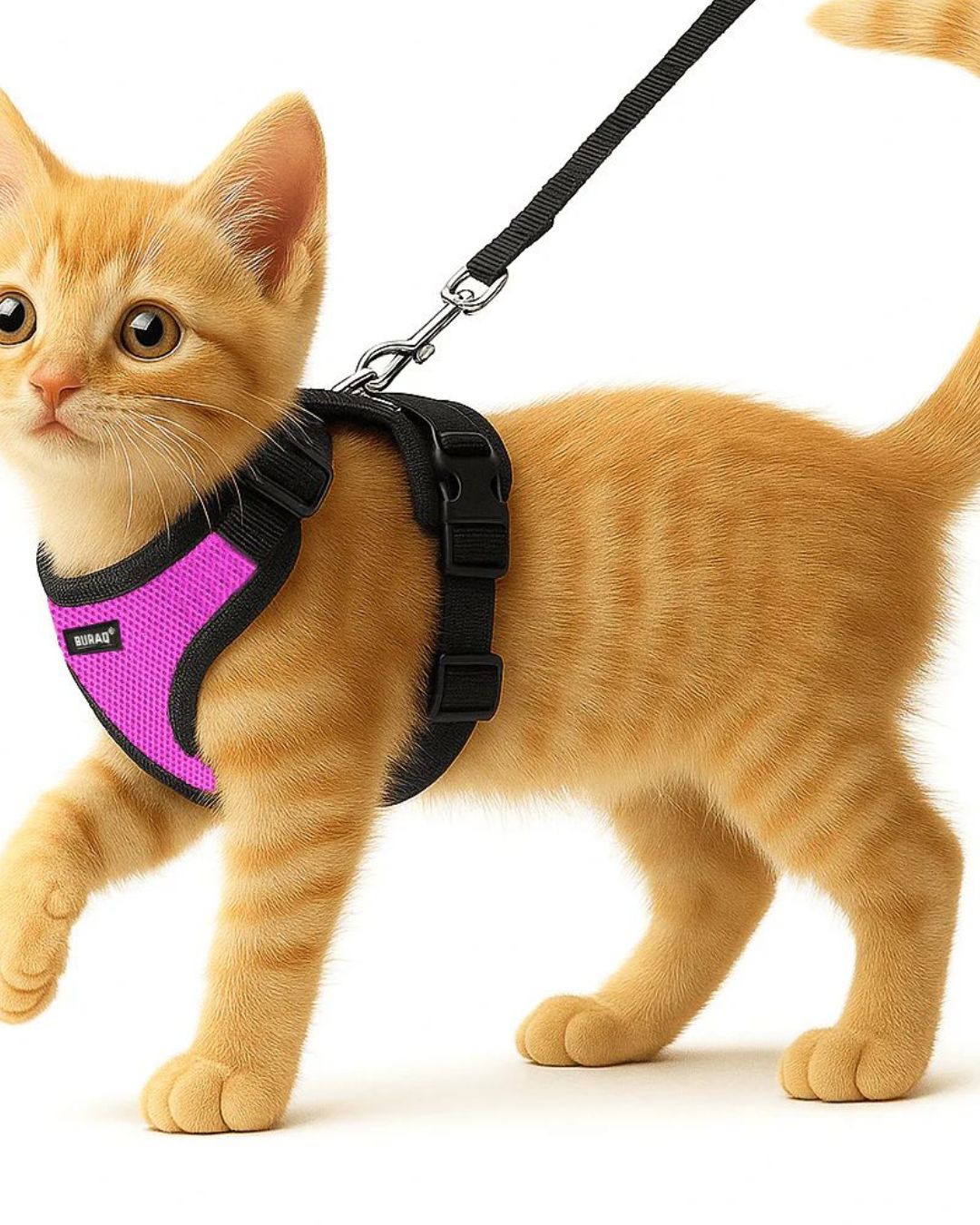 Customised - No-Pull Cat Harness & Leash Set