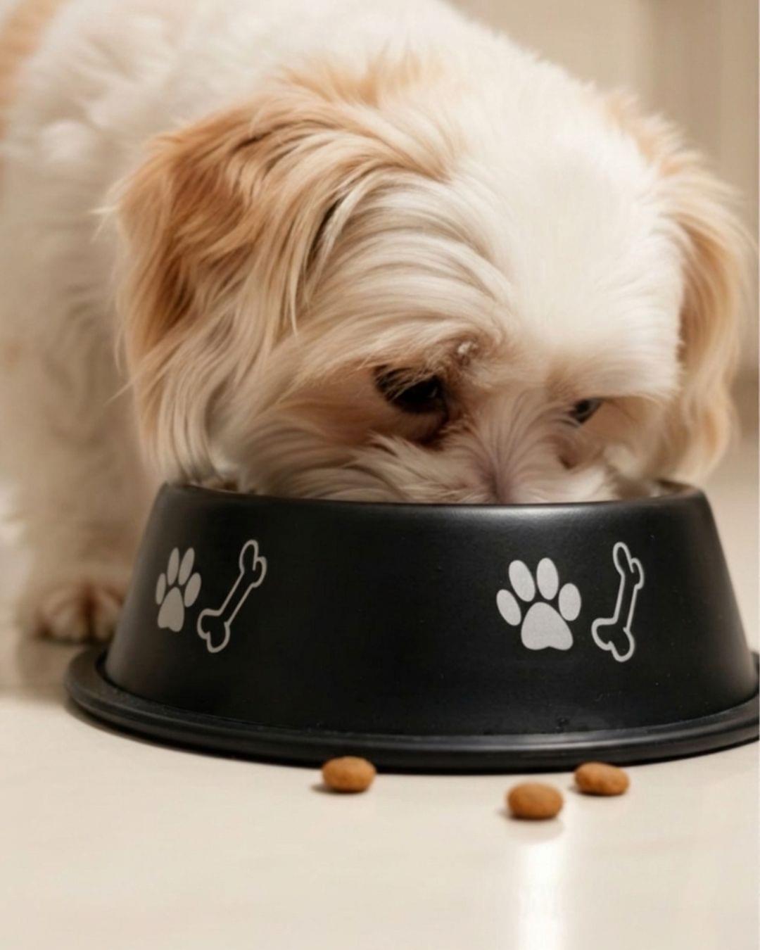 Customised PawPrint Bowl | Pet Bowl (Inside Print) – 400 ml