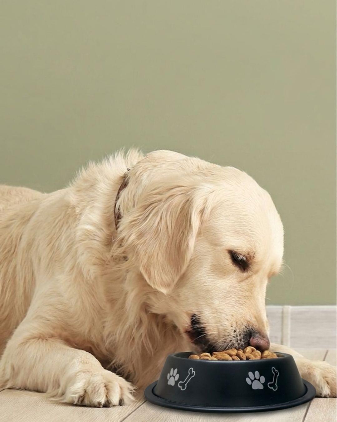 Customised PawPrint Bowl | Pet Bowl (Inside Print) – 400 ml