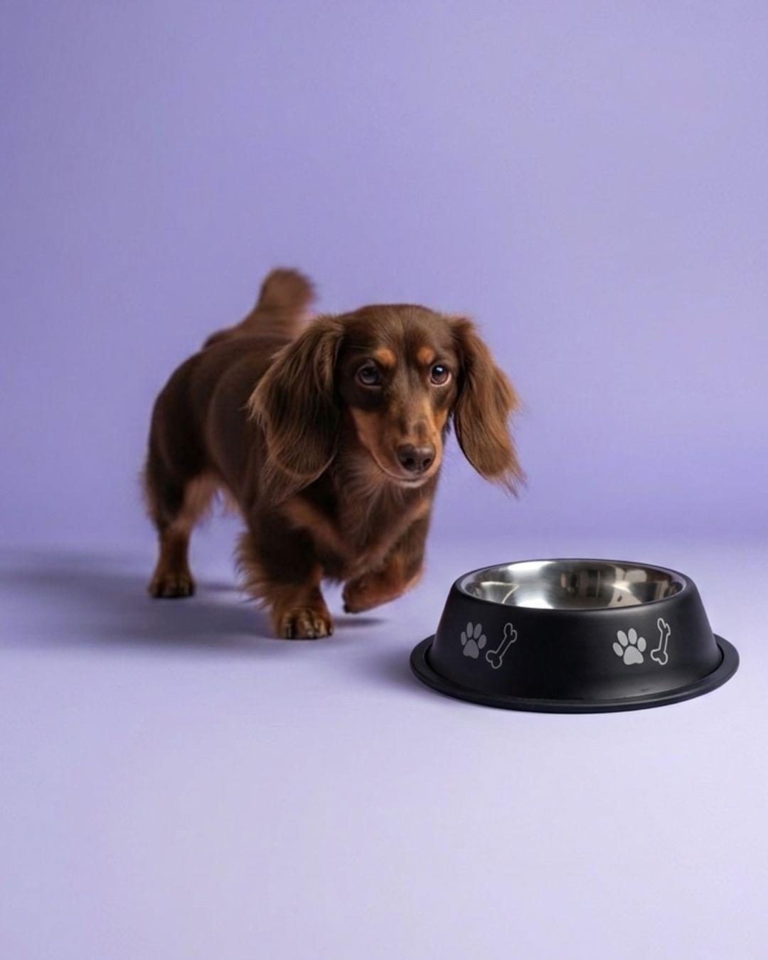 Customised PawPrint Bowl | Pet Bowl (Inside Print) – 400 ml