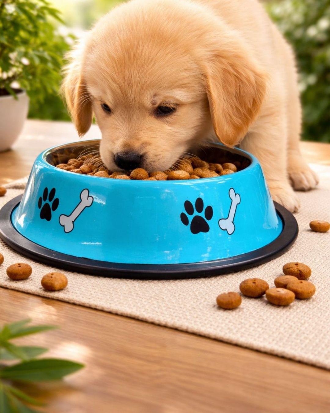 Customised PawPrint Bowl | Pet Bowl (Inside Print) – 400 ml